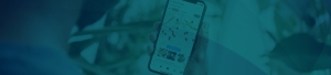 Google Local Services Ads Management