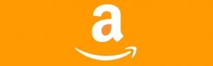 Why Retailers Need Amazon AND Search